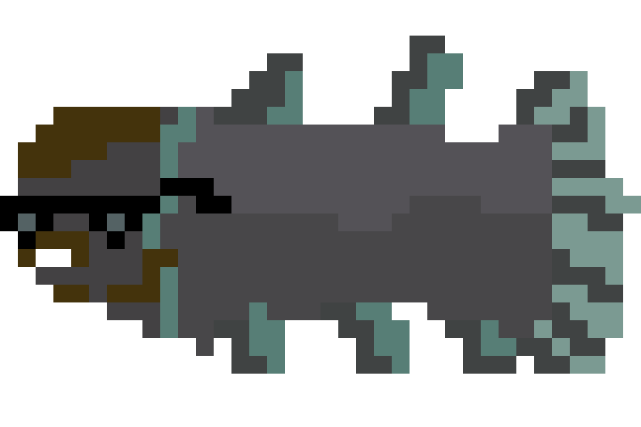 Fish illustration created by a student